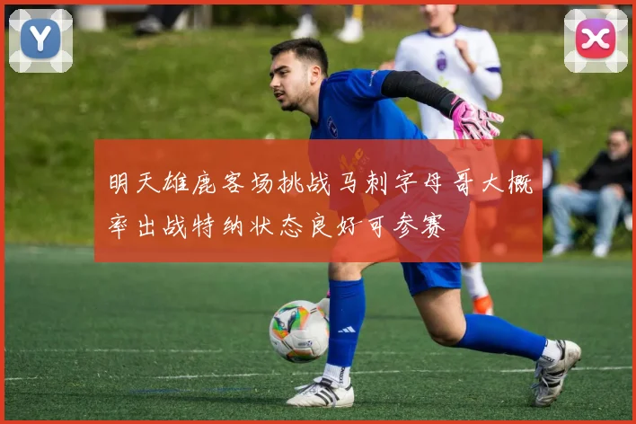 明天雄鹿客场挑战马刺字母哥大概率出战特纳状态良好可参赛