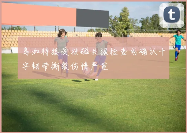 乌加特接受核磁共振检查或确认十字韧带撕裂伤情严重