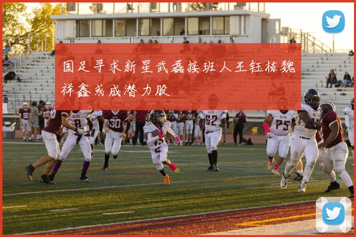 国足寻求新星武磊接班人王钰栋魏祥鑫或成潜力股